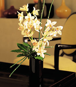  Nide ucuz iek gnder  cam yada mika vazo ierisinde dal orkide