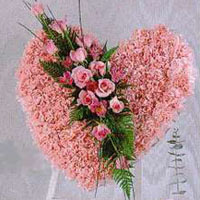 kalp pano karankil ve güller   Niğde hediye çiçek yolla 