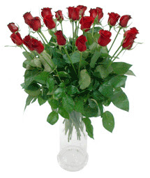  Niğde çiçek yolla , çiçek gönder , çiçekçi   11 adet kimizi gülün ihtisami cam yada mika vazo modeli