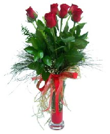 vazo içerisinde 5 kırmızı gül  Niğde hediye sevgilime hediye çiçek 
