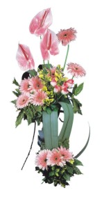  Niğde hediye sevgilime hediye çiçek  Pembe Antoryum Harikalar Rüyasi