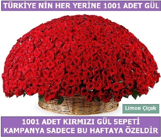 1001 Adet kırmızı gül Bu haftaya özel  Niğde kaliteli taze ve ucuz çiçekler 