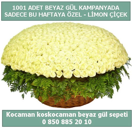 1001 adet beyaz gül sepeti özel kampanyada  Niğde güvenli kaliteli hızlı çiçek 