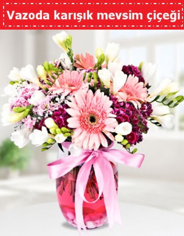 Vazoda karışık mevsim çiçeği  Niğde çiçek gönderme sitemiz güvenlidir 