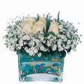 mika ve beyaz gül renkli taslar   Niğde İnternetten çiçek siparişi 