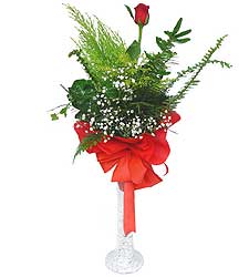  Niğde online çiçek gönderme sipariş  Cam vazoda masum tek gül